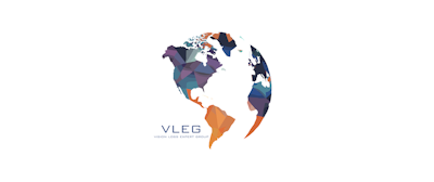 The Vision Loss Expert Group (VLEG)
